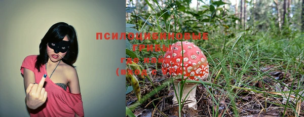 марихуана Медногорск
