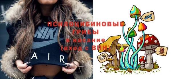 ешки Михайловск
