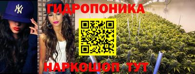 спиды Ипатово