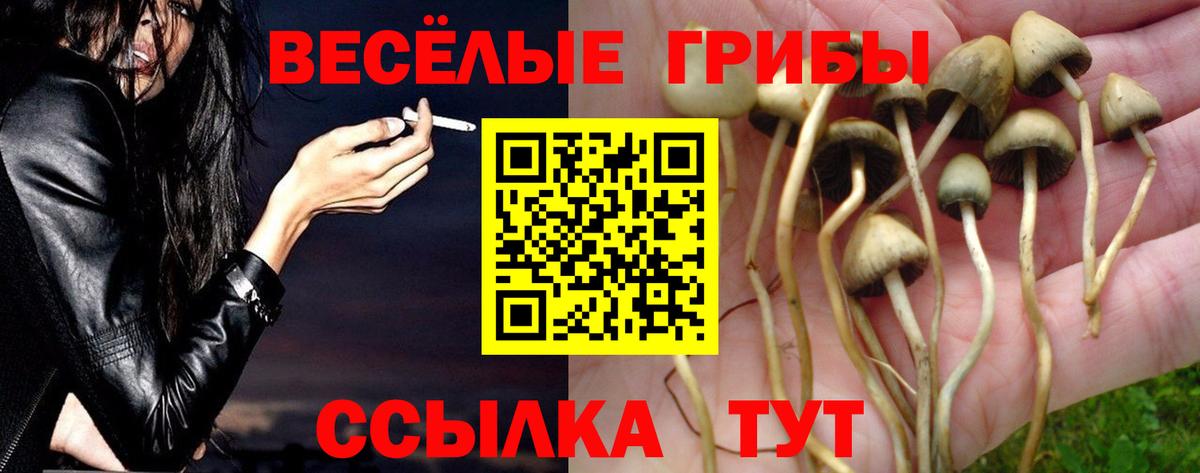 Галлюциногенные грибы GOLDEN TEACHER Рузаевка