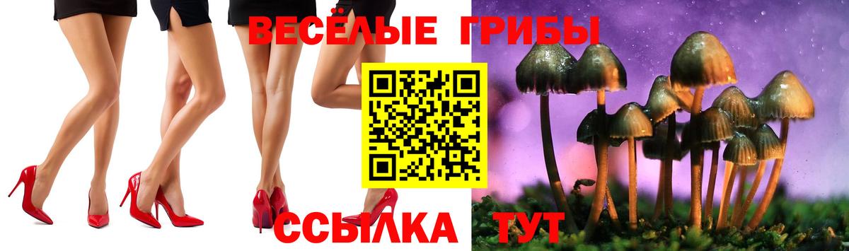 Галлюциногенные грибы Magic Shrooms  Рузаевка  Галлюциногенные грибы Psilocybine cubensis 